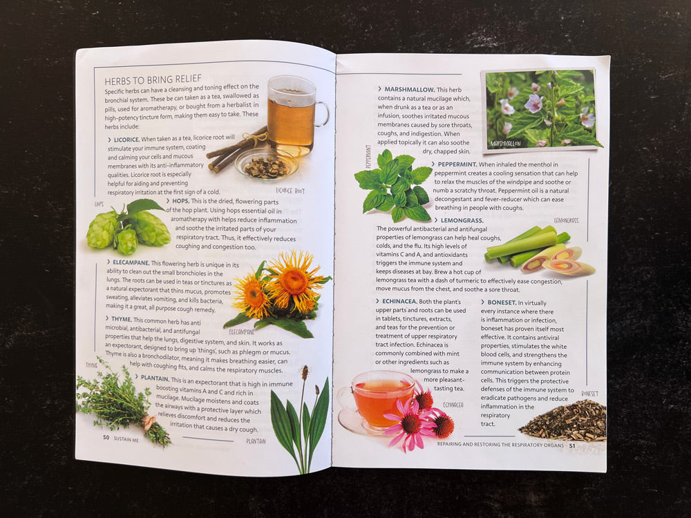 Sustain me by Barbara O'Neill inside spread